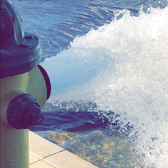 Meet your Posher, KRIS 🌿 - Picture 3 of 4